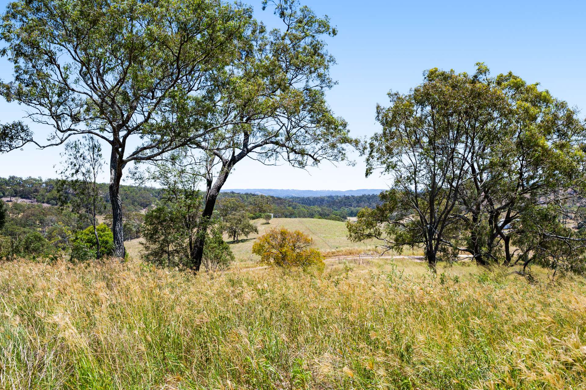 374 Voll Road, Crows Nest Sold by Farmbuy.com - image 30