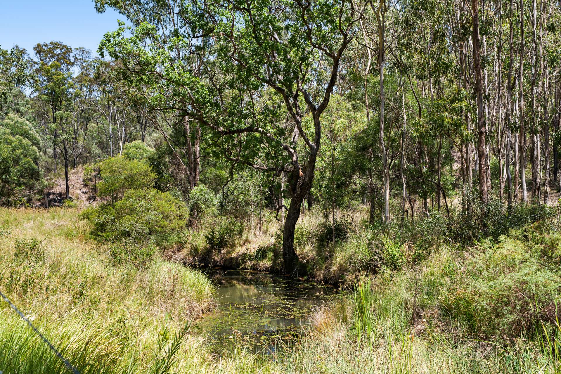 374 Voll Road, Crows Nest Sold by Farmbuy.com - image 26