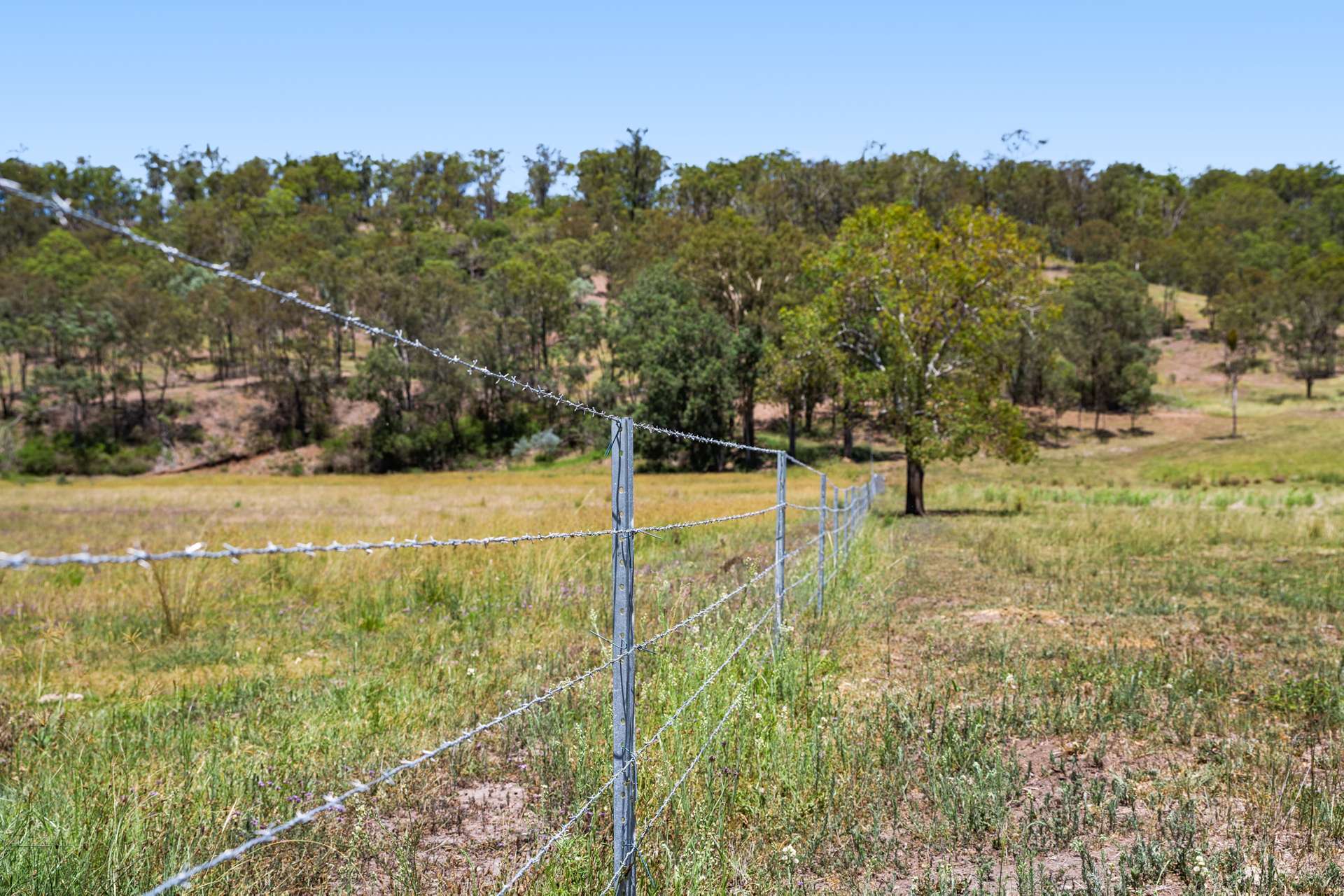 374 Voll Road, Crows Nest Sold by Farmbuy.com - image 28