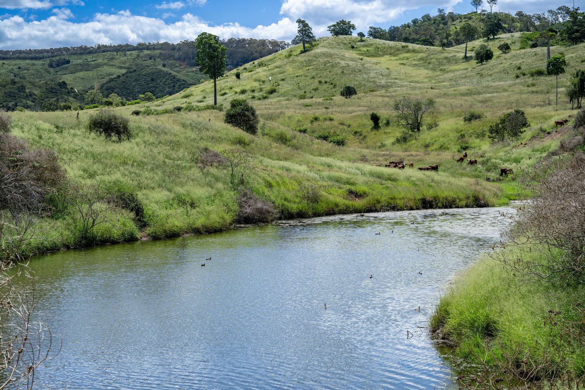 'Double Knob' Nangur Road, Tansey Sold by Farmbuy.com - image 3