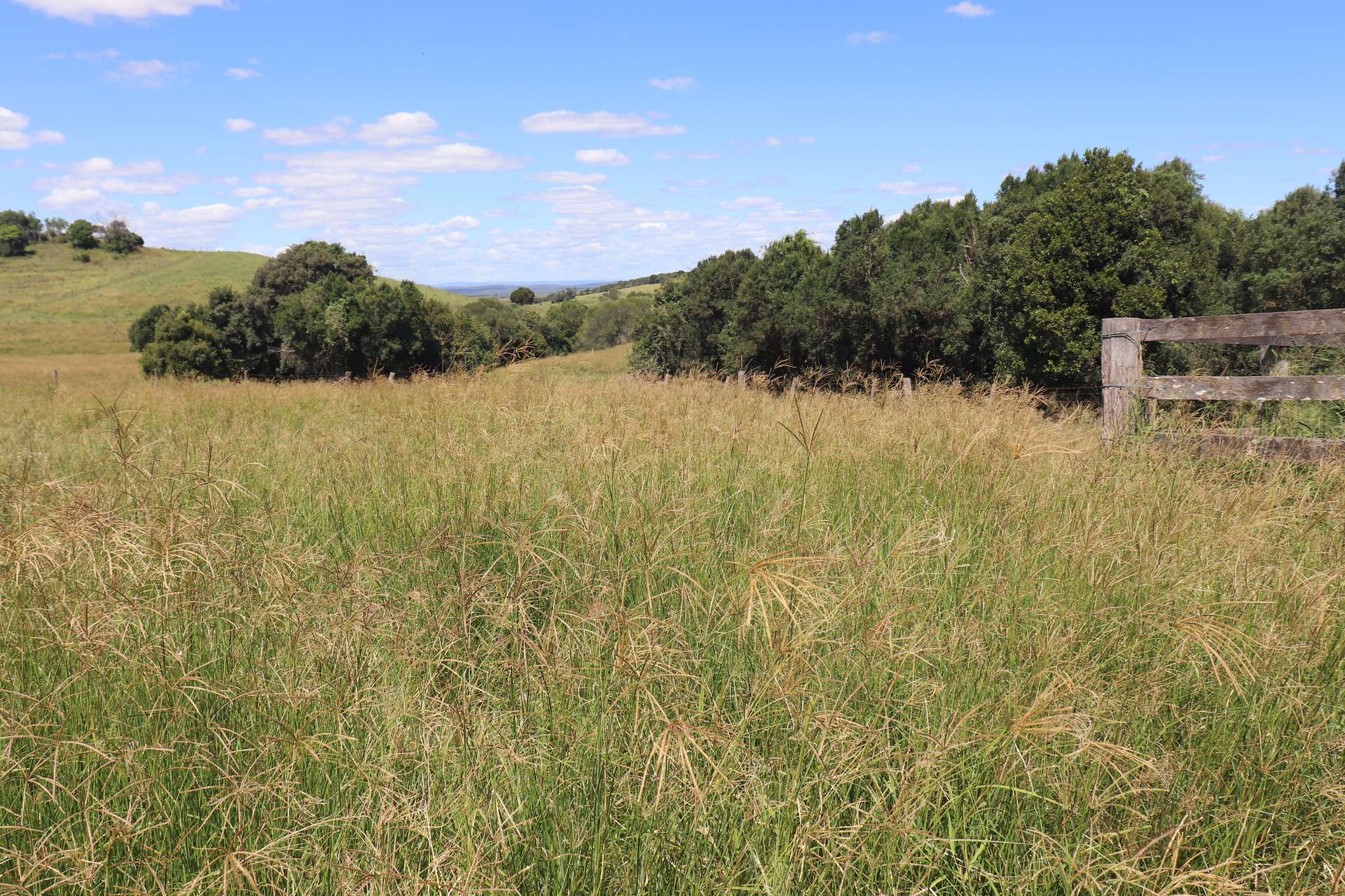 Lot 385 Hoffmanns Road, Wondai Sold by Farmbuy.com - image 3