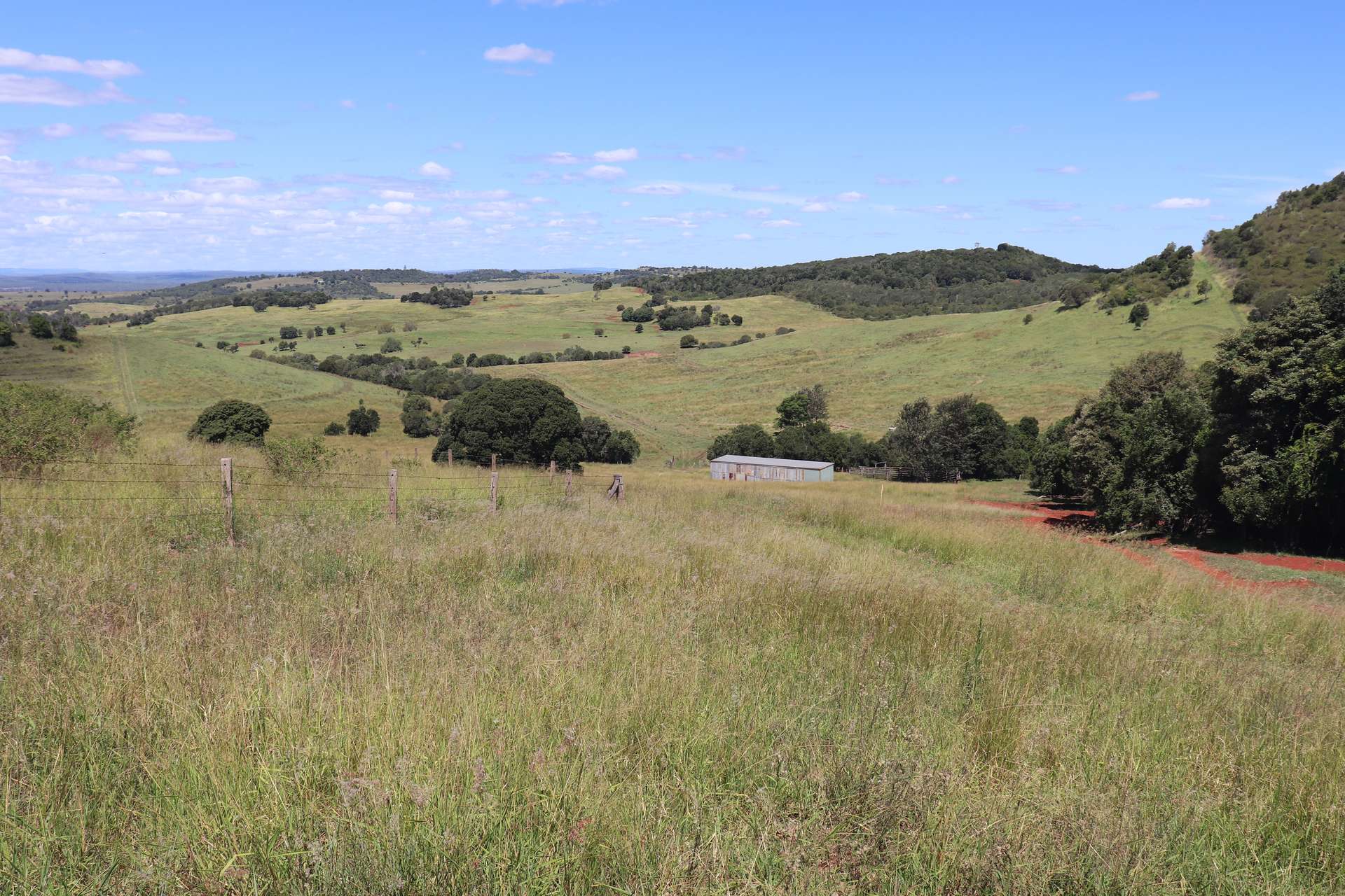 Lot 385 Hoffmanns Road, Wondai Sold by Farmbuy.com - image 5