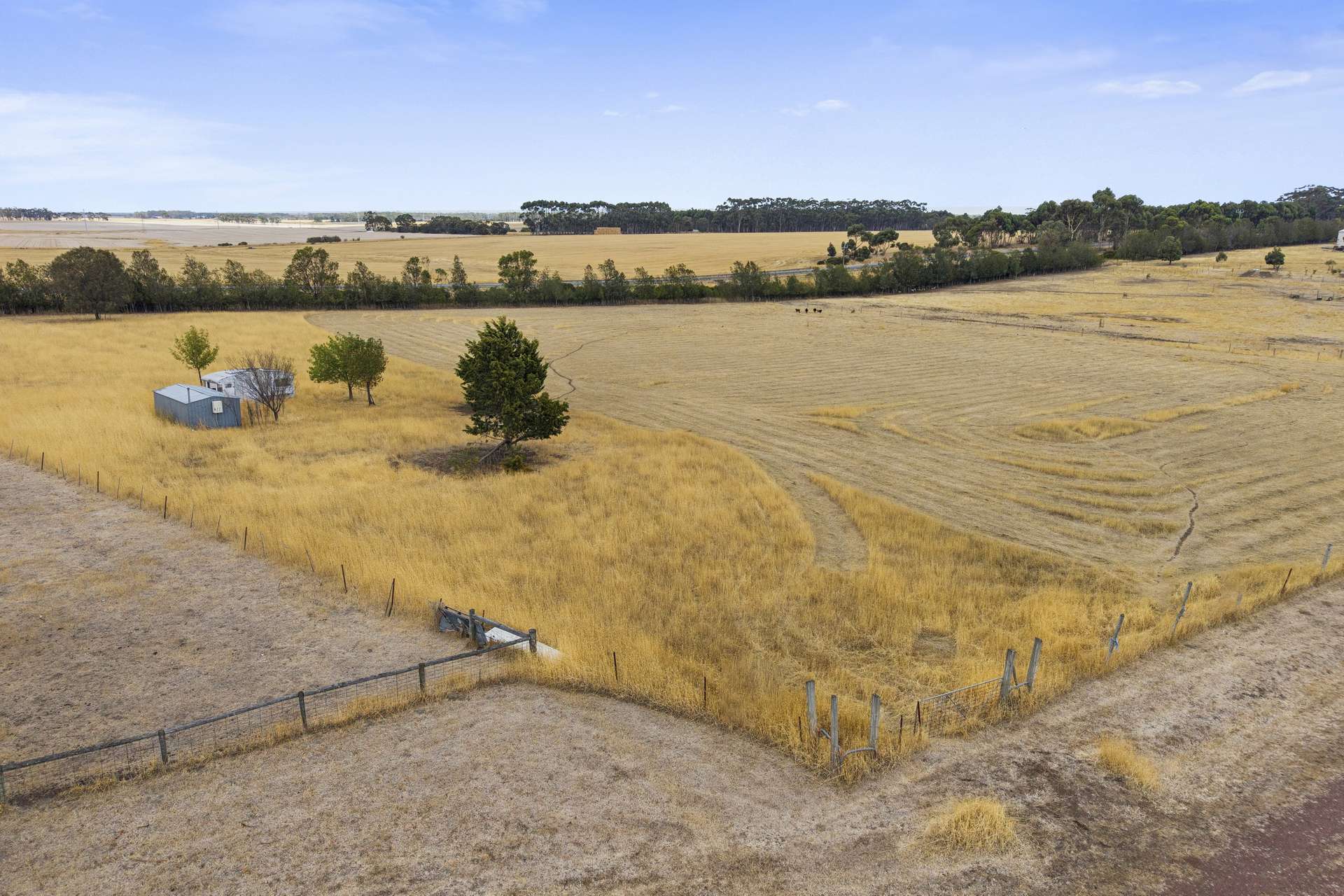8 Ramon Close, Lismore For Sale by Farmbuy.com - image 4