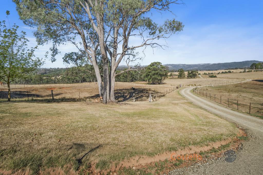 195 Willigobung Road, Willigobung NSW 2653