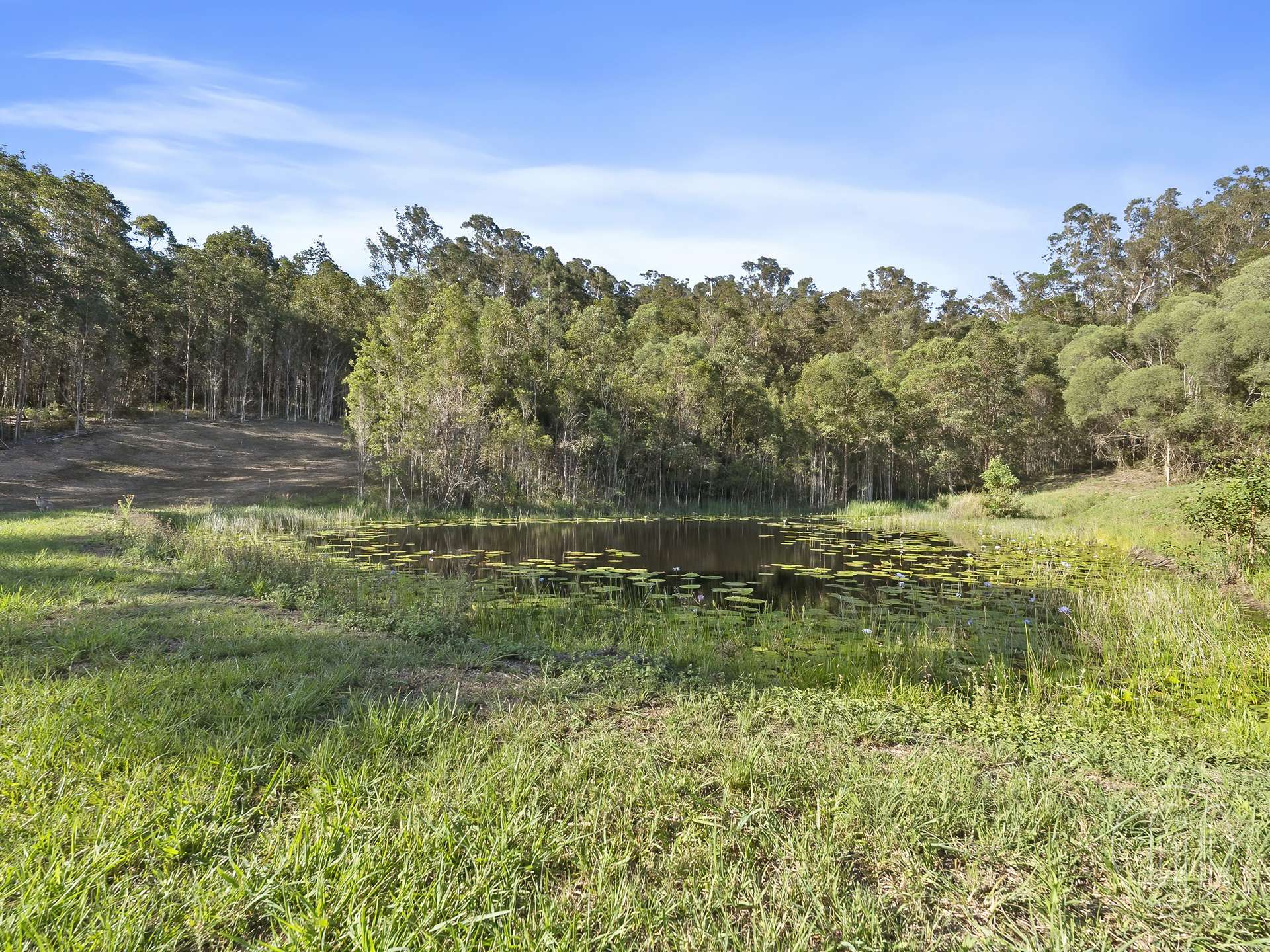 299 Kidaman Creek Road, Kidaman Creek For Sale by Farmbuy.com - image 24