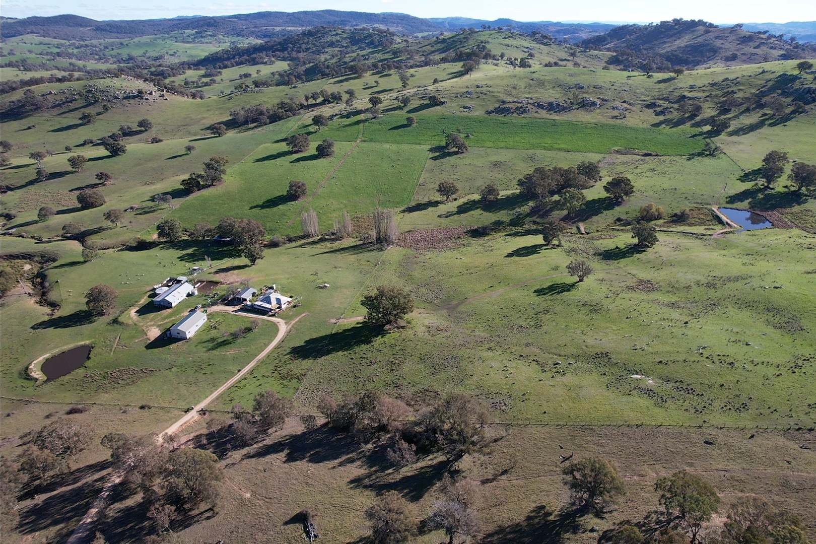 669 Greenmantle Road, Bigga For Sale by Farmbuy.com - image 2