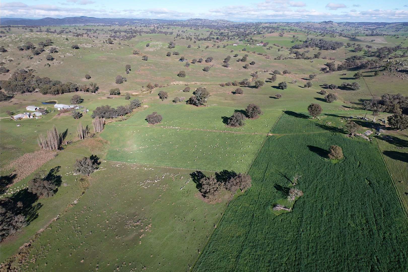 669 Greenmantle Road, Bigga For Sale by Farmbuy.com - image 3
