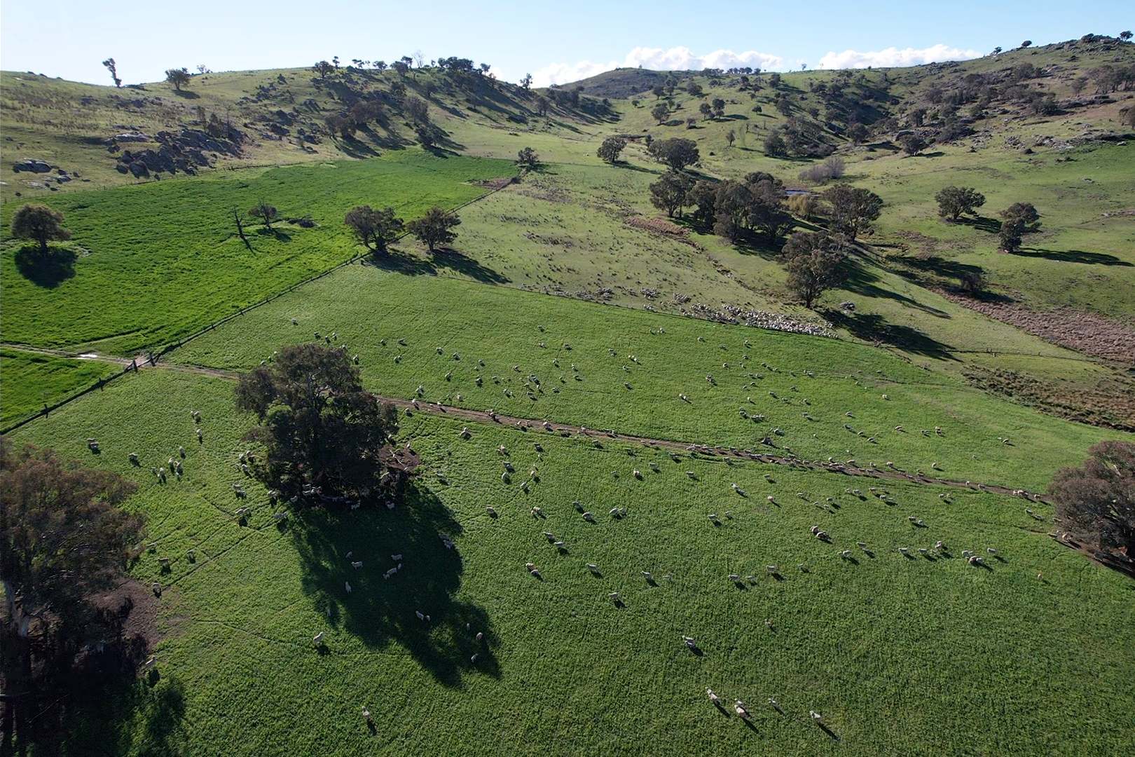 669 Greenmantle Road, Bigga For Sale by Farmbuy.com - image 6