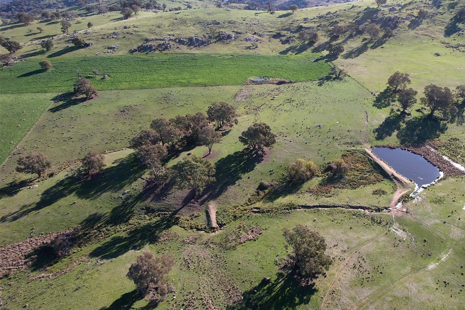 669 Greenmantle Road, Bigga For Sale by Farmbuy.com - image 5