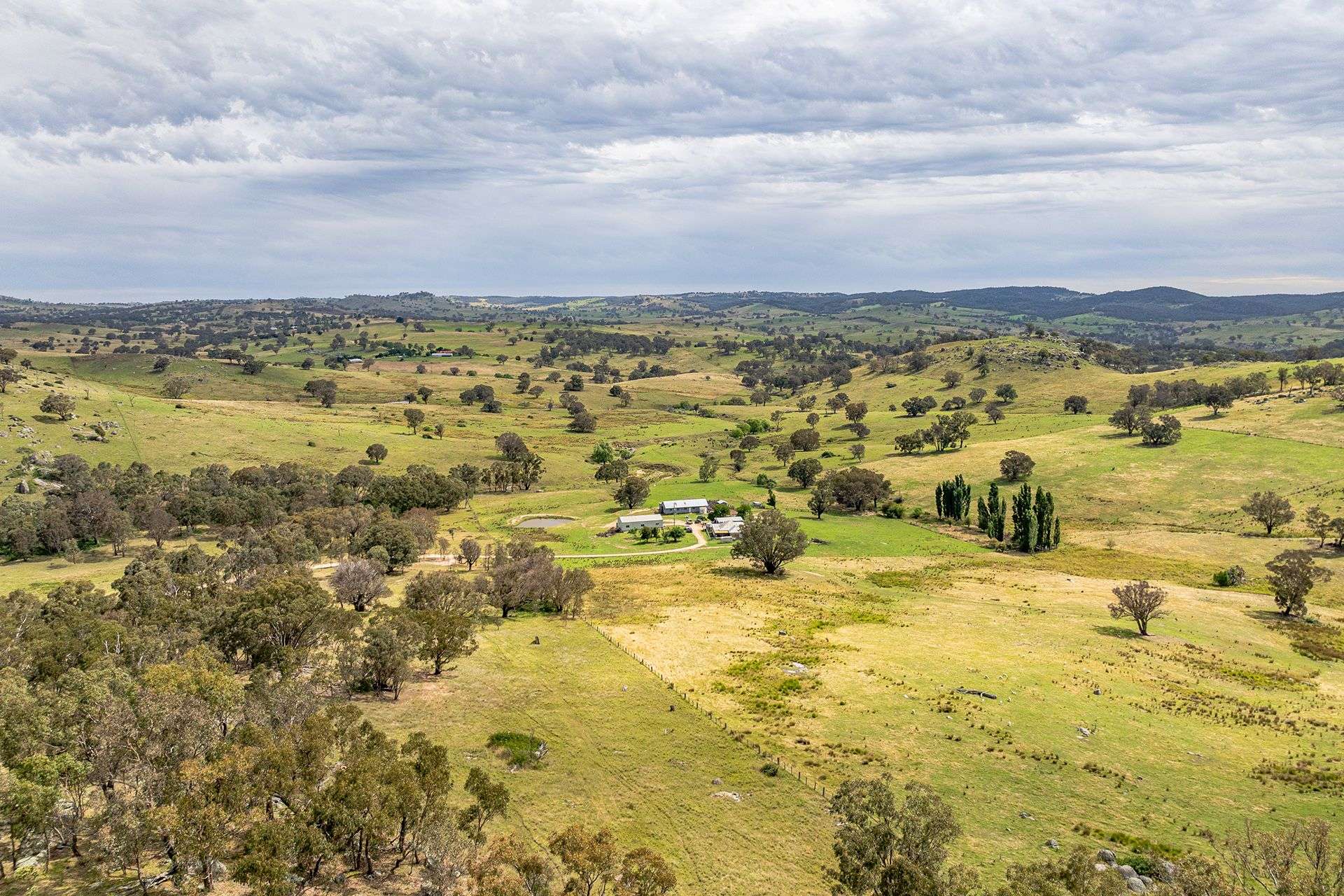 669 Greenmantle Road, Bigga For Sale by Farmbuy.com - image 25