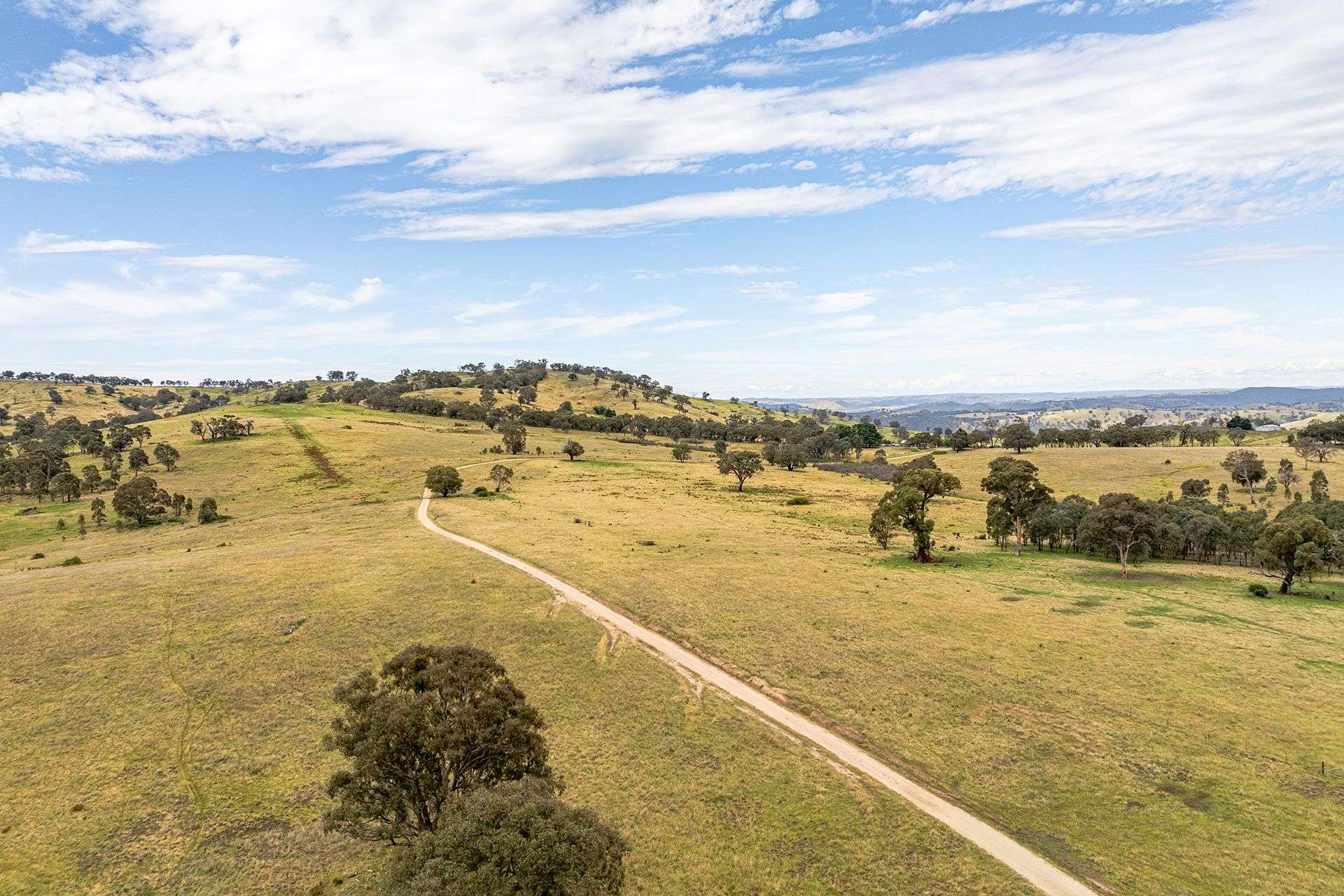 669 Greenmantle Road, Bigga For Sale by Farmbuy.com - image 27