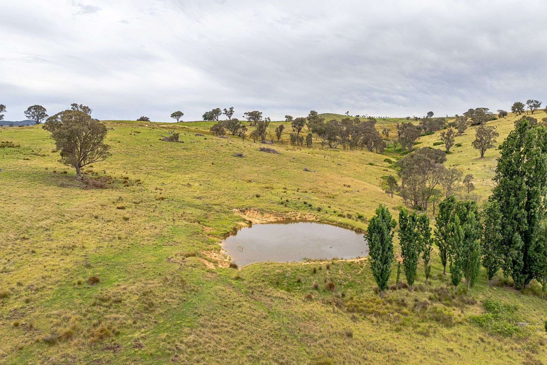 669 Greenmantle Road, Bigga For Sale by Farmbuy.com - image 21