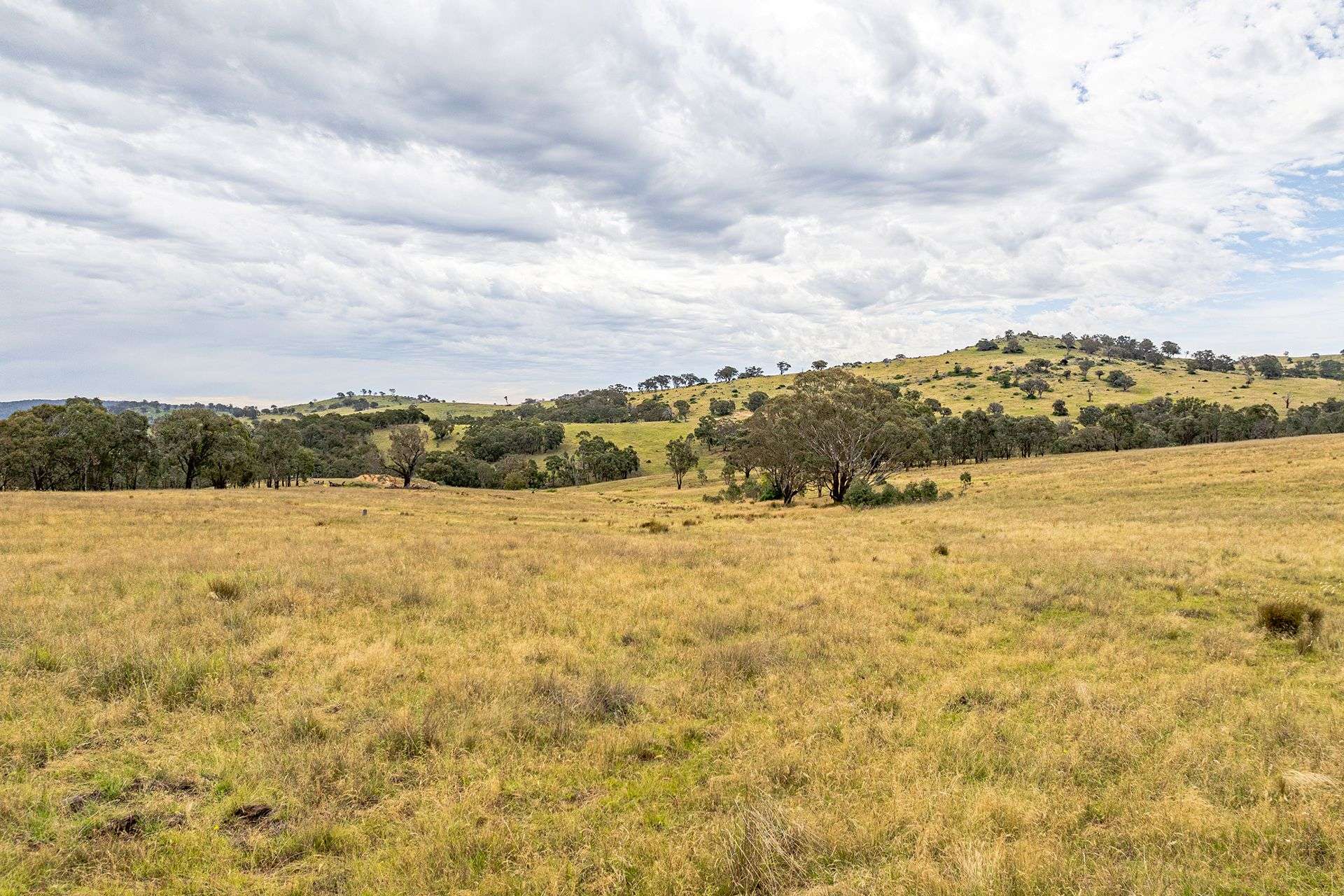 669 Greenmantle Road, Bigga For Sale by Farmbuy.com - image 26