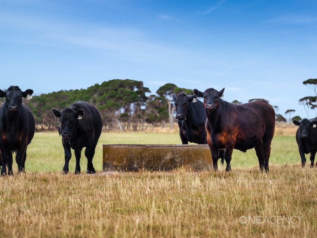 50 Anthony Beach Road, Smithton For Sale by Farmbuy.com - image 18