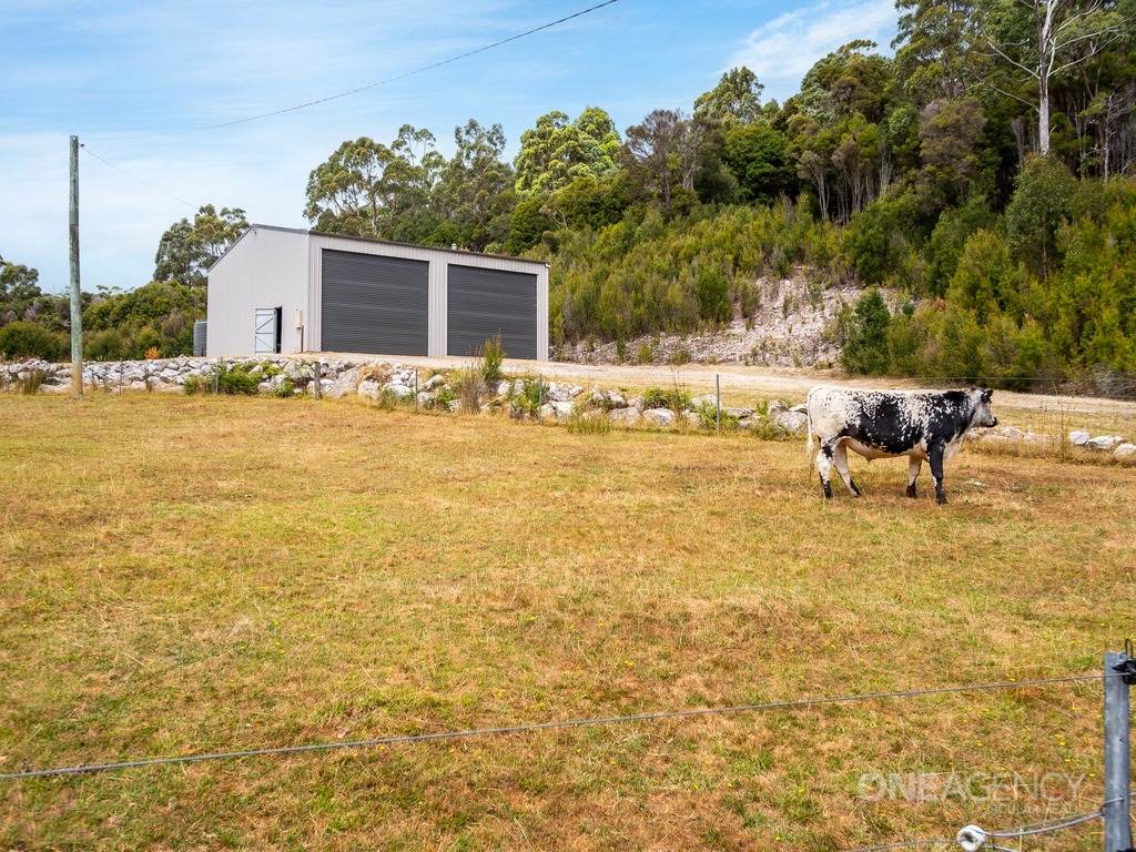 343 Tierneys Road, Mengha For Sale by Farmbuy.com - image 5
