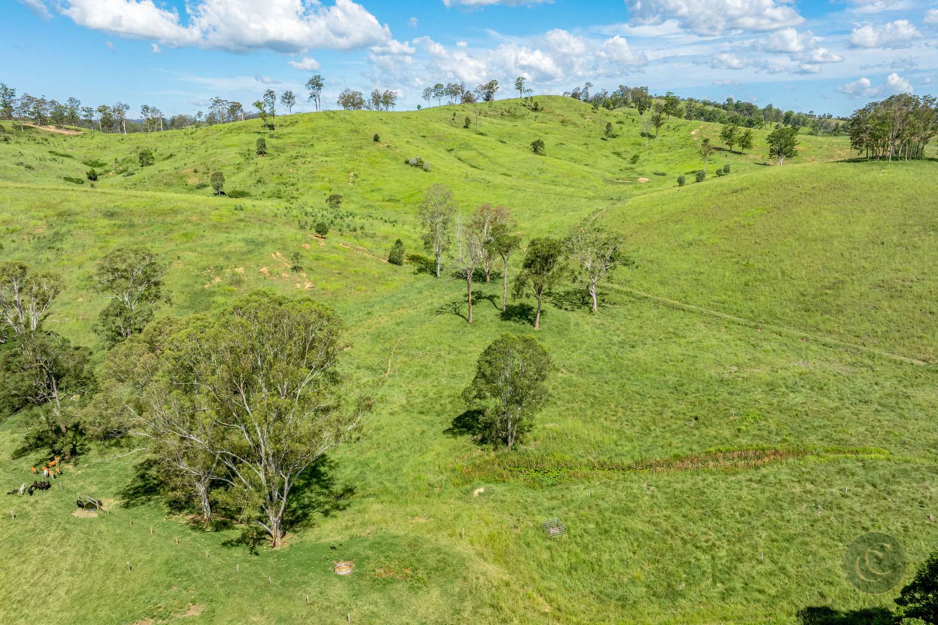 1340-1342 North Deep Creek Road, Anderleigh For Sale by Farmbuy.com - image 27