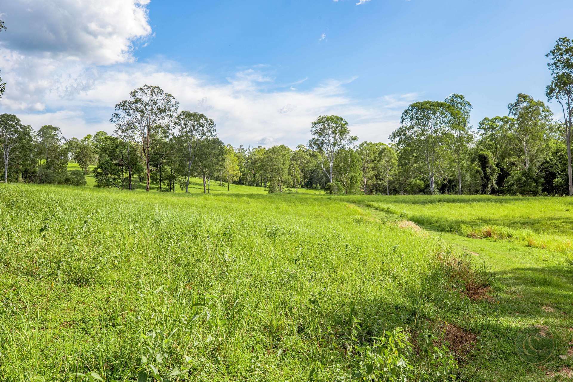1340-1342 North Deep Creek Road, Anderleigh For Sale by Farmbuy.com - image 31