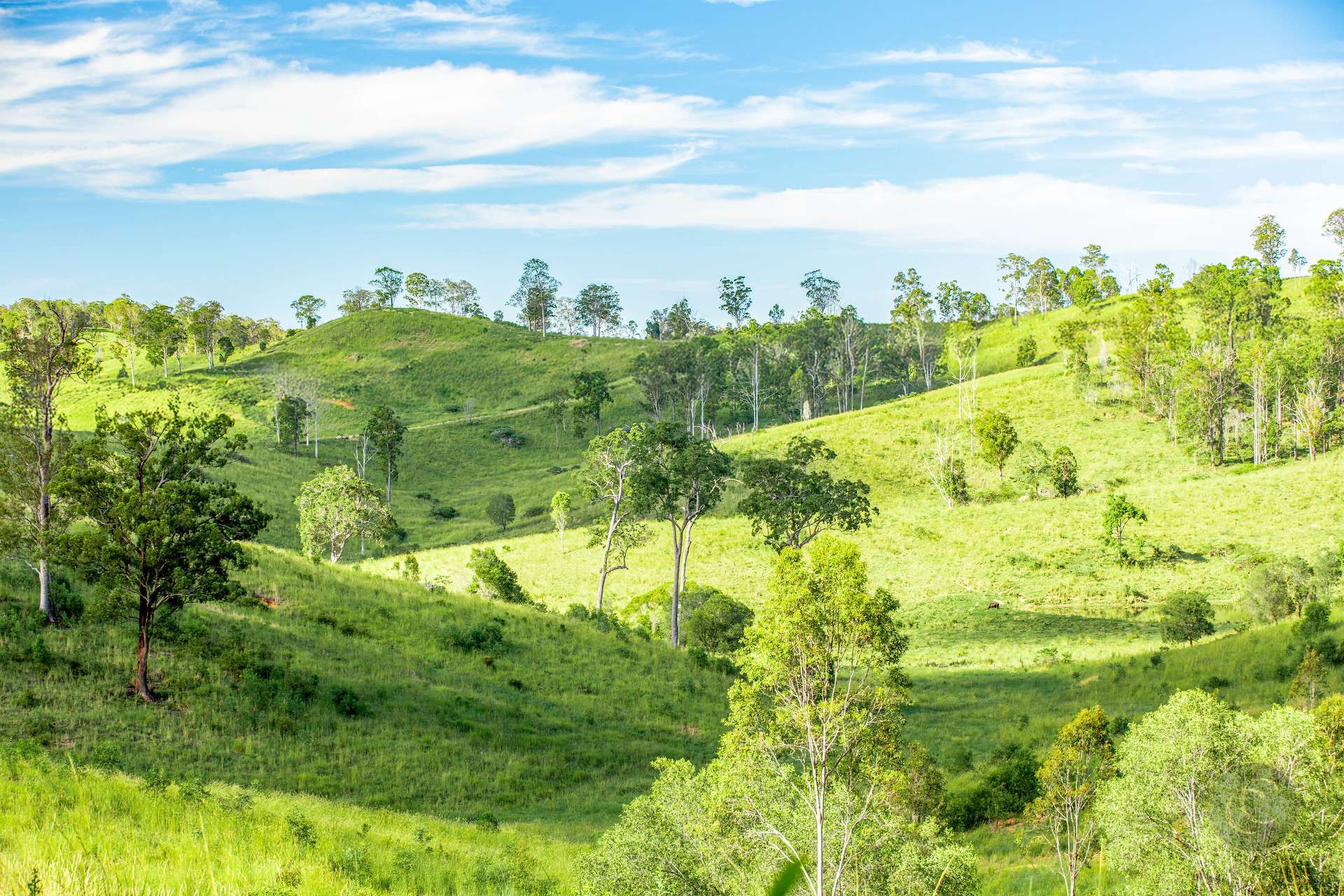 1340-1342 North Deep Creek Road, Anderleigh For Sale by Farmbuy.com - image 32