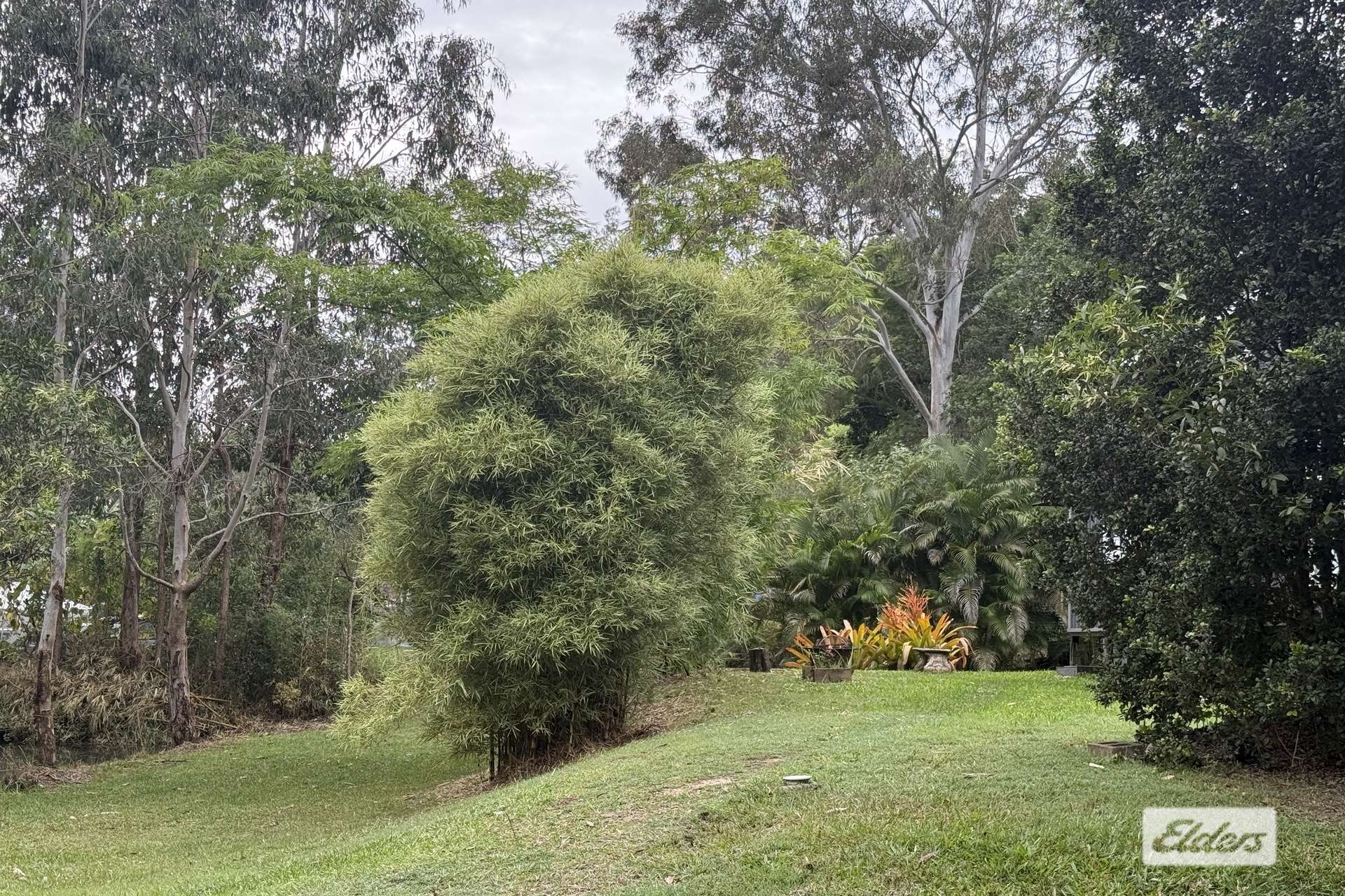 43 Faine Road, Bauple For Sale by Farmbuy.com - image 21