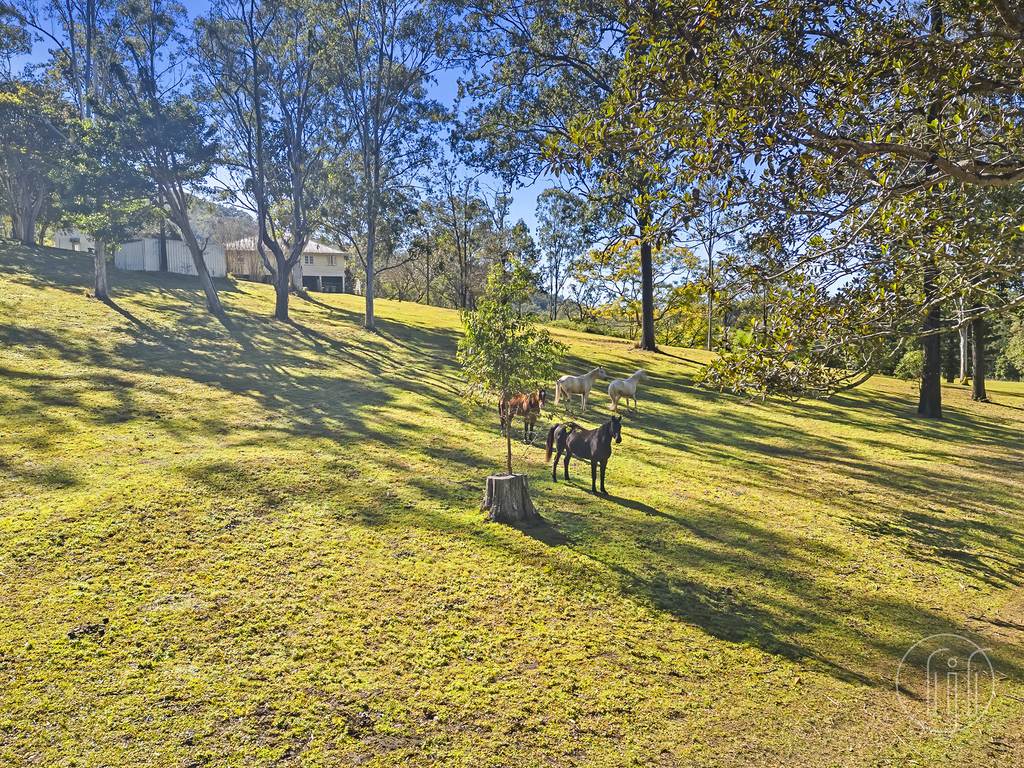 44 Bella Creek Road, Bella Creek QLD 4570