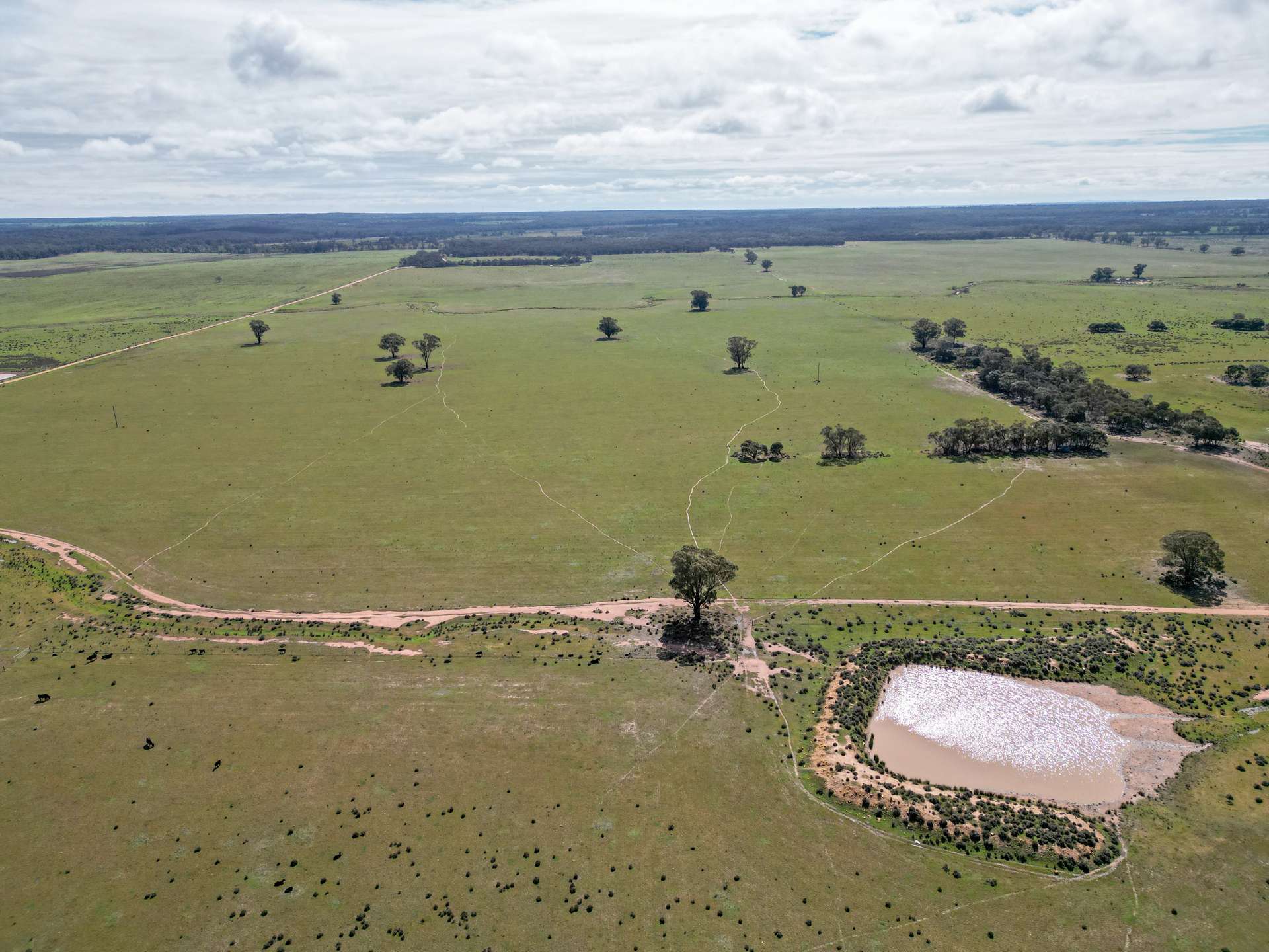 ' Dalmallee' 735 Charcoal Tank Road, West Wyalong For Sale by Farmbuy.com - image 1