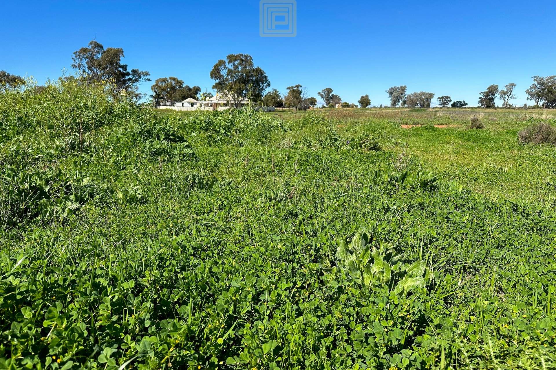 KOOREGAH STATION Yarrandale Road, Hermidale For Sale by Farmbuy.com - image 28