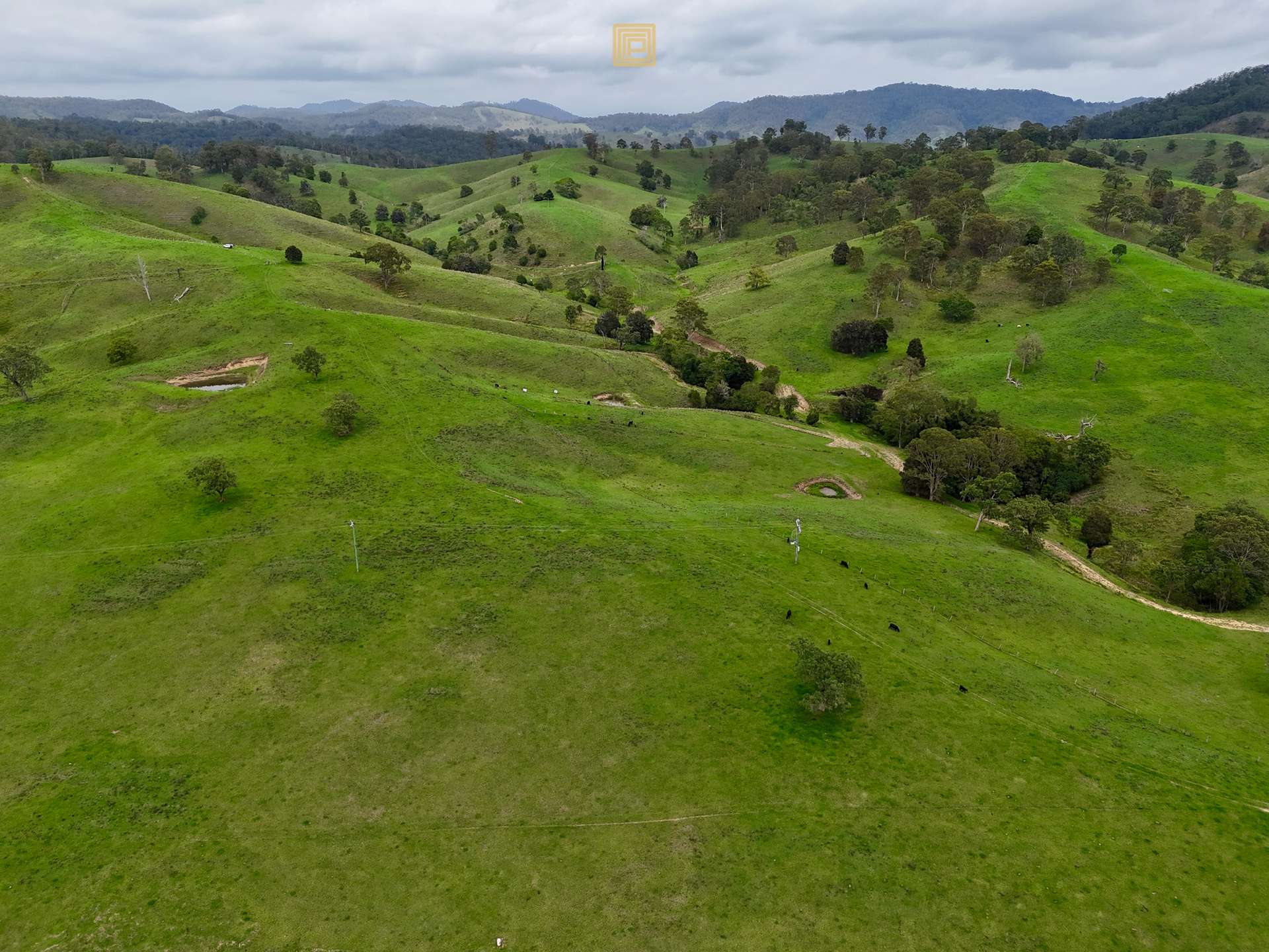 84 Wallanbah Road, Gloucester For Sale by Farmbuy.com - image 34