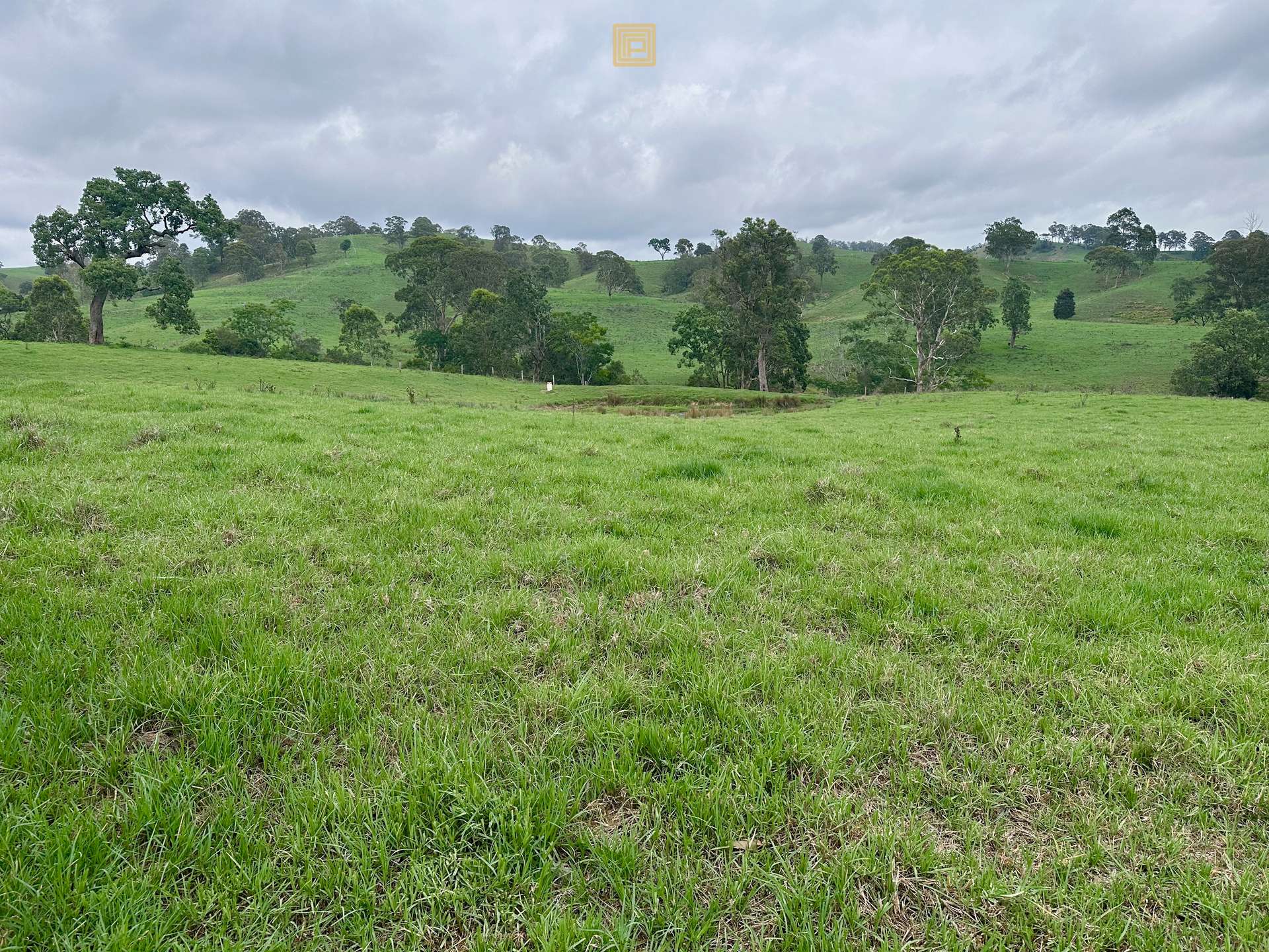 84 Wallanbah Road, Gloucester For Sale by Farmbuy.com - image 11