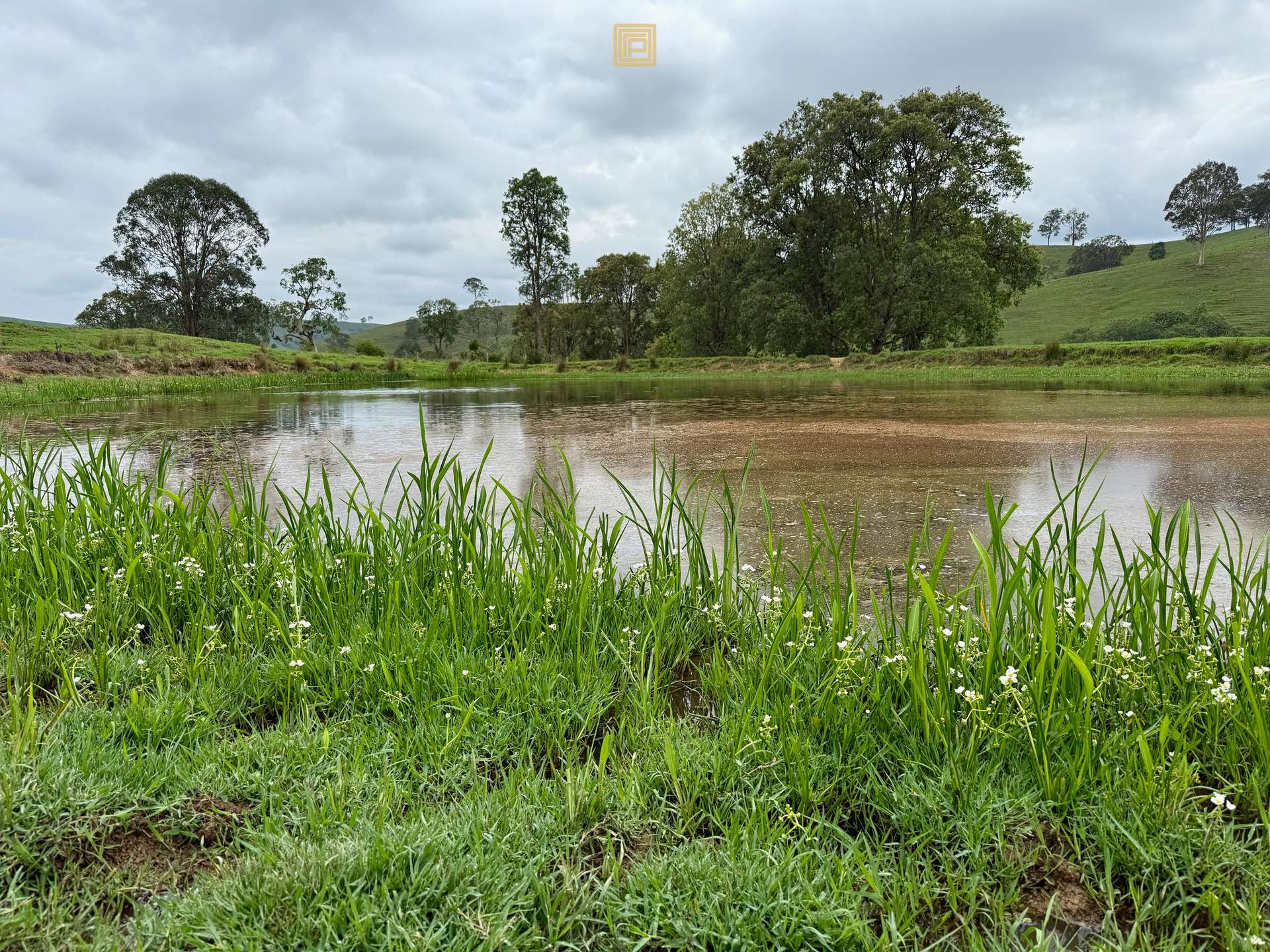 84 Wallanbah Road, Gloucester For Sale by Farmbuy.com - image 2