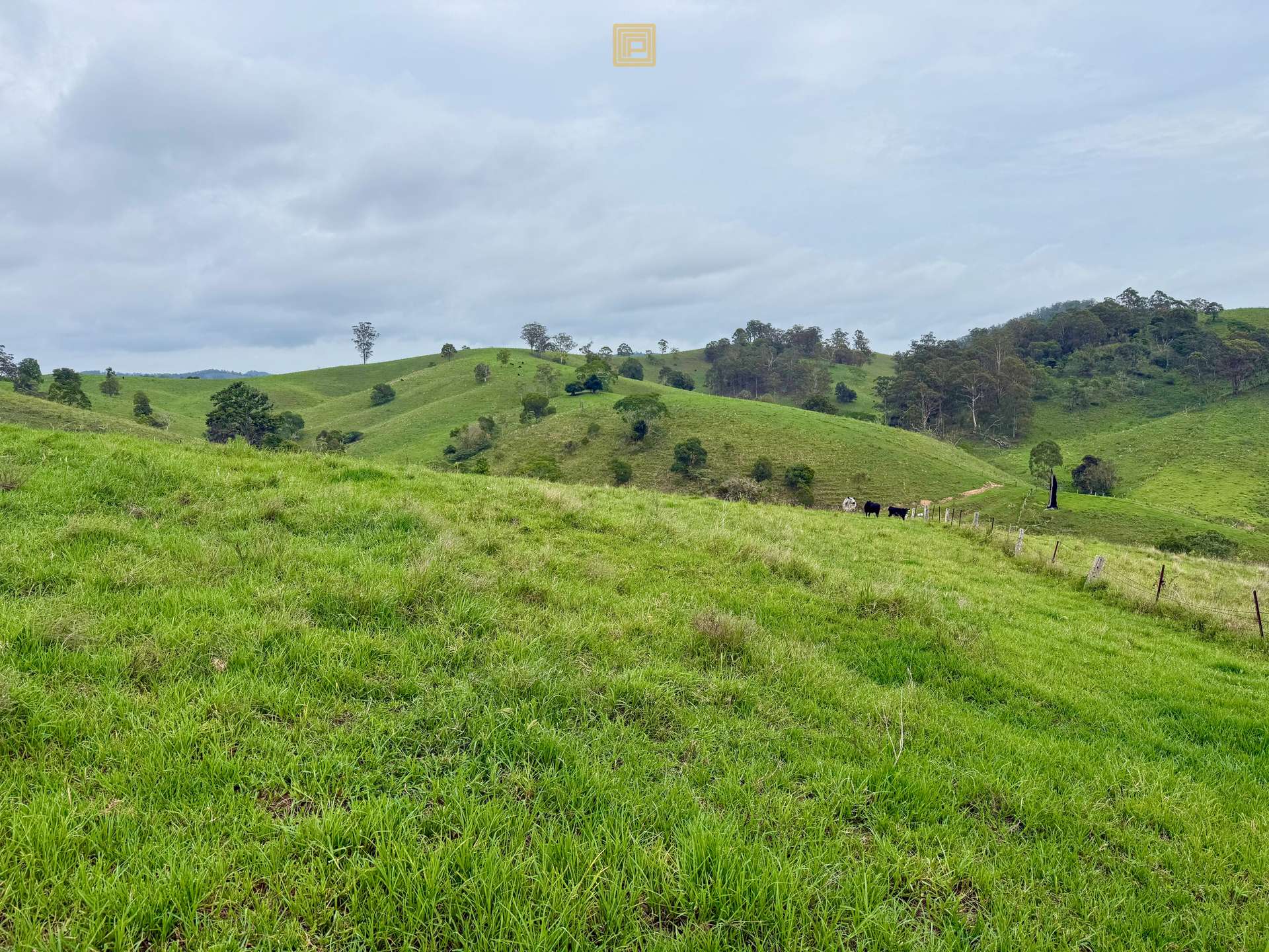84 Wallanbah Road, Gloucester For Sale by Farmbuy.com - image 9