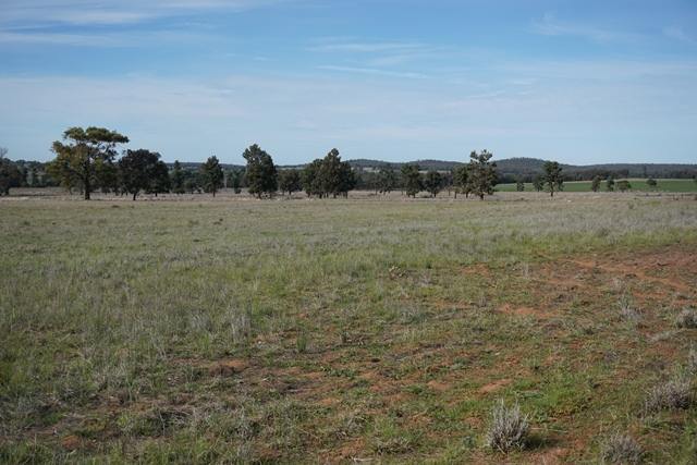 'Nyrang' 3013 Mid Western Highway, North Yalgogrin For Sale by Farmbuy.com - image 14