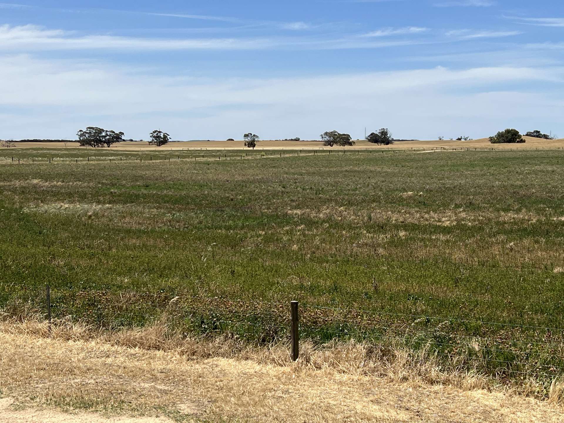 485 Freak Road, Coonalpyn For Sale by Farmbuy.com - image 3