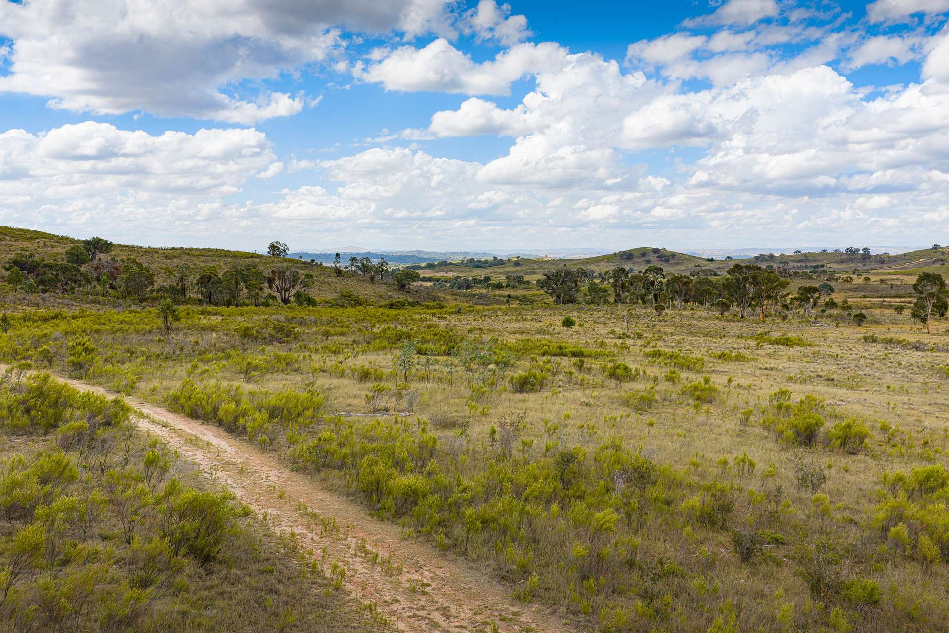 Lot 75 Maryvale Road Bevendale Via, Gunning For Sale by Farmbuy.com - image 1