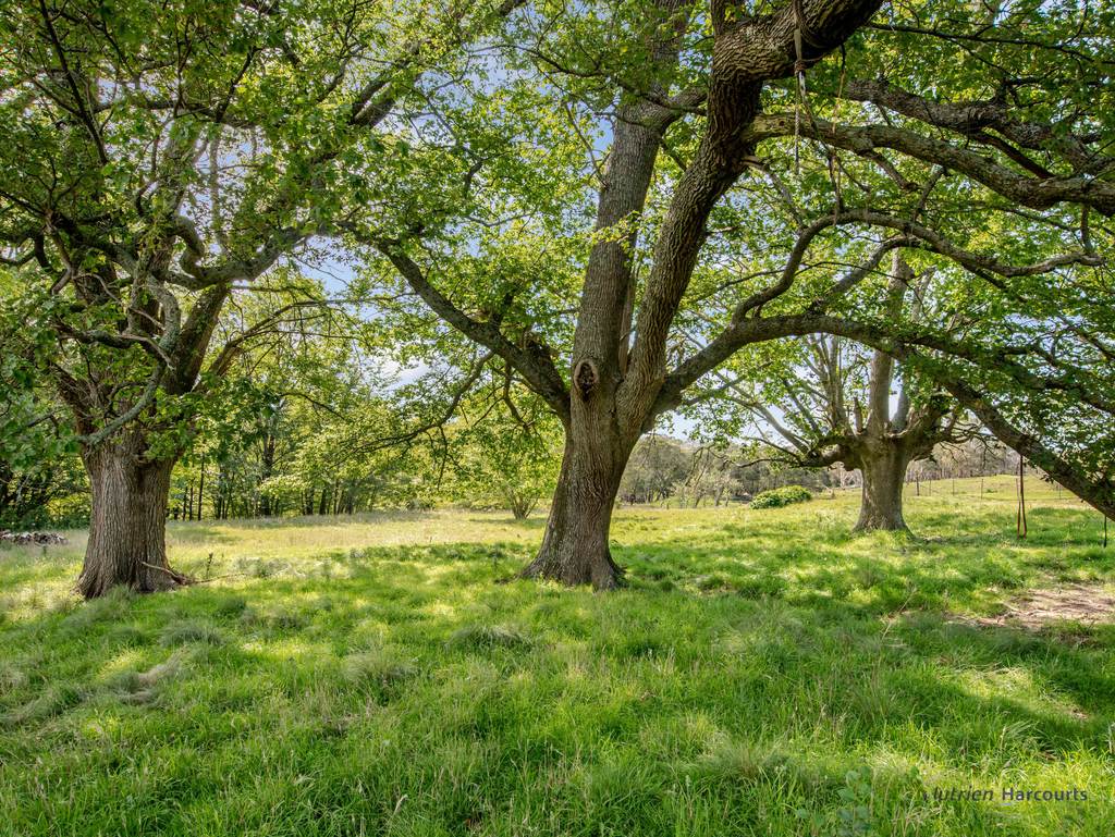 106 Cawthornes Lane, Braidwood NSW 2622