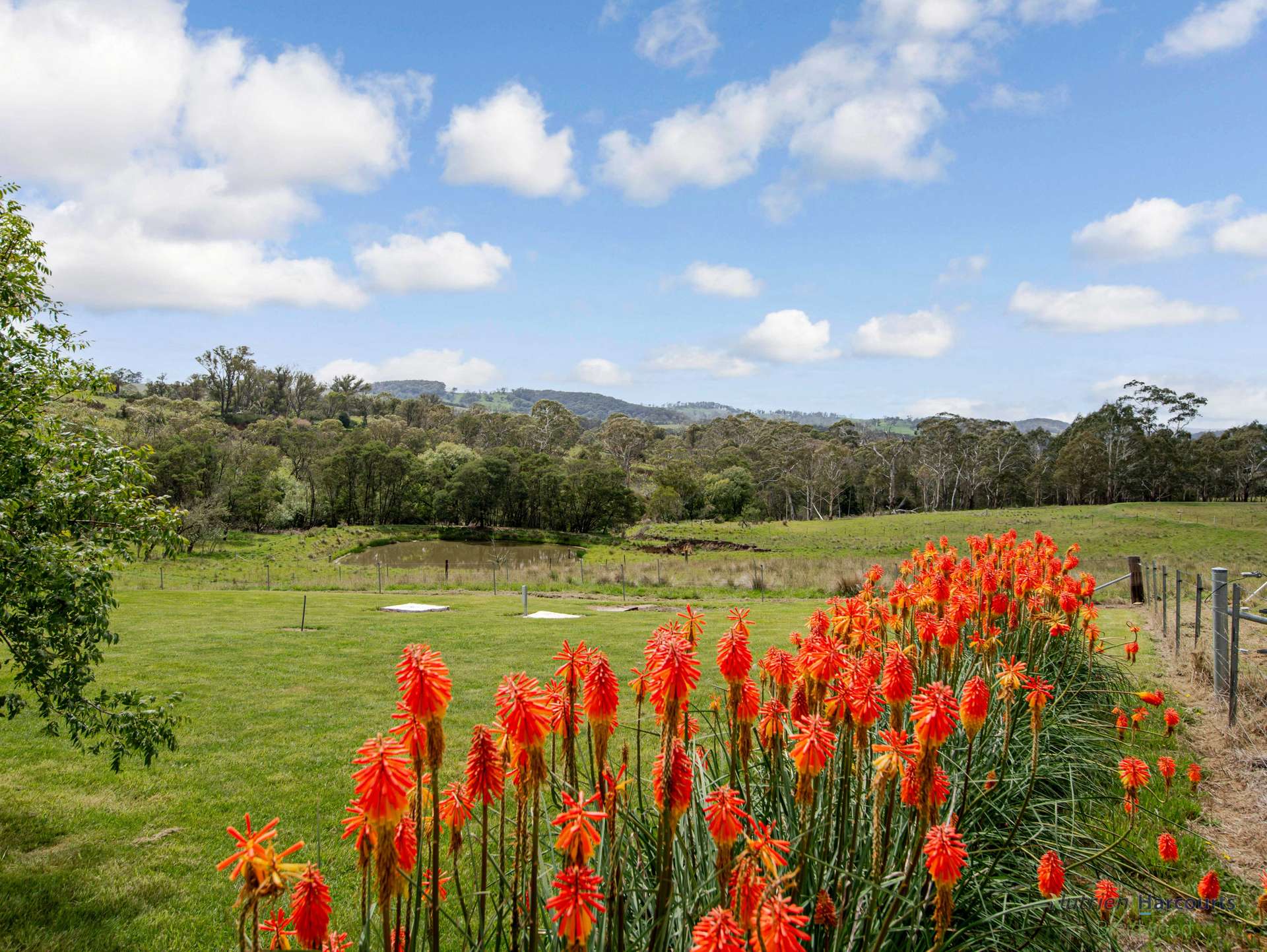 106 Cawthornes Lane, Braidwood For Sale by Farmbuy.com - image 10