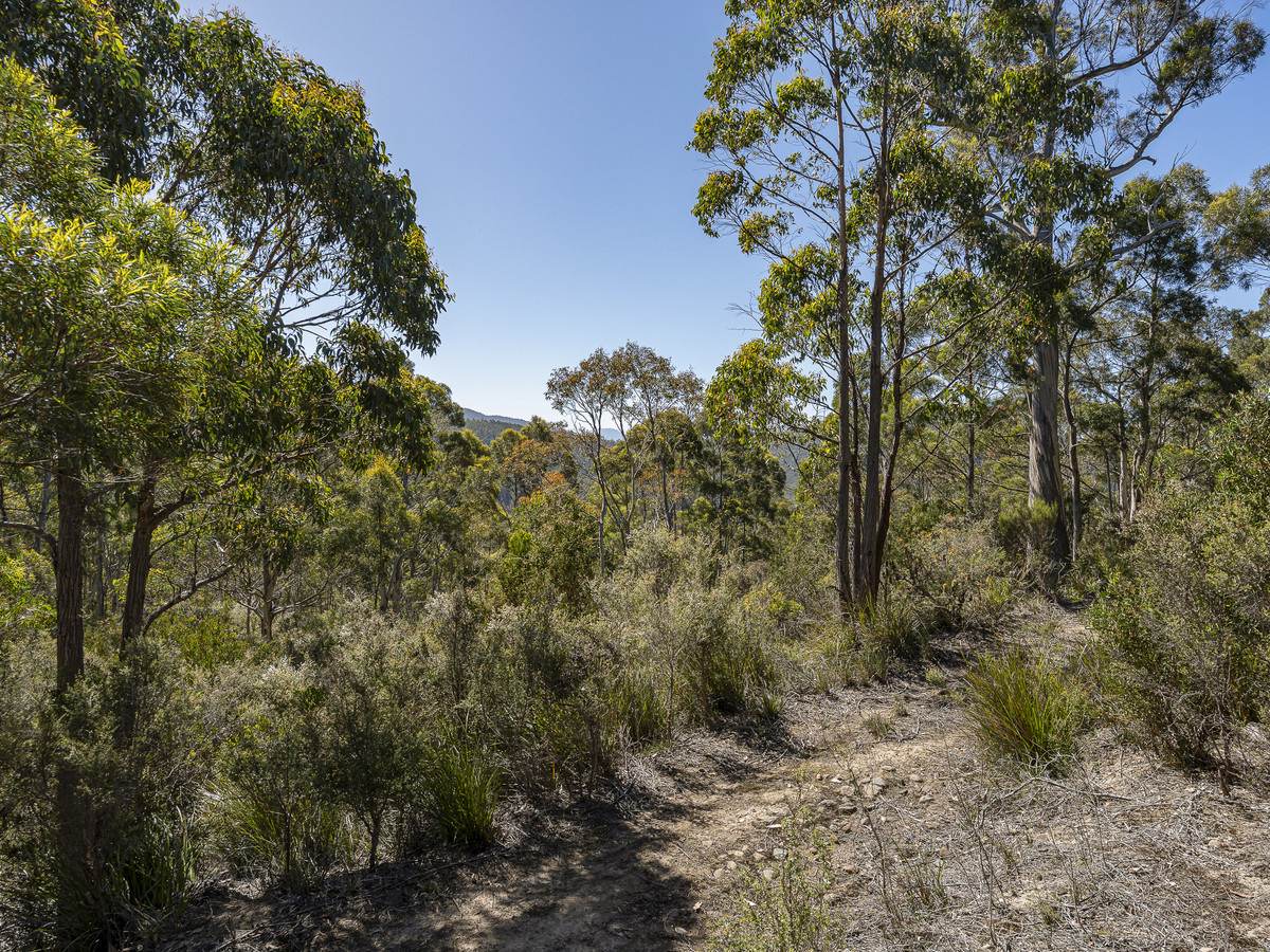 Lot 3,  Snug Falls Road, Snug For Sale by Farmbuy.com - image 7