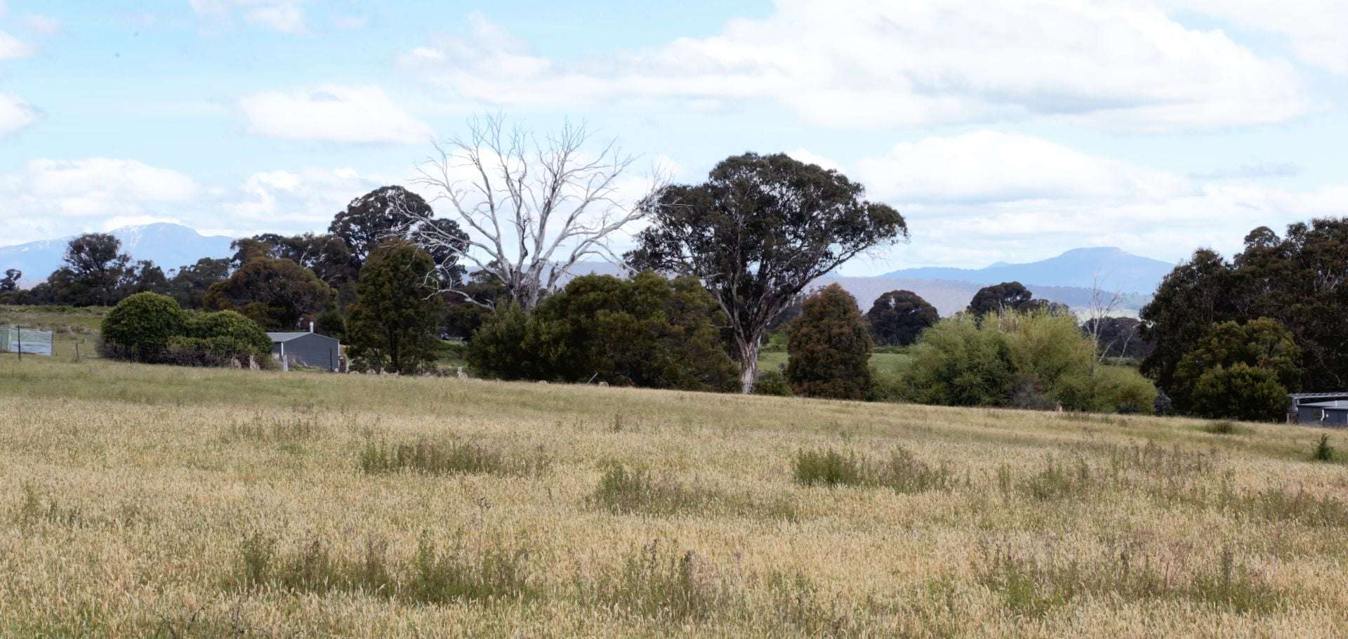 33 Ambrose Drive, Tolmie For Sale by Farmbuy.com - image 4