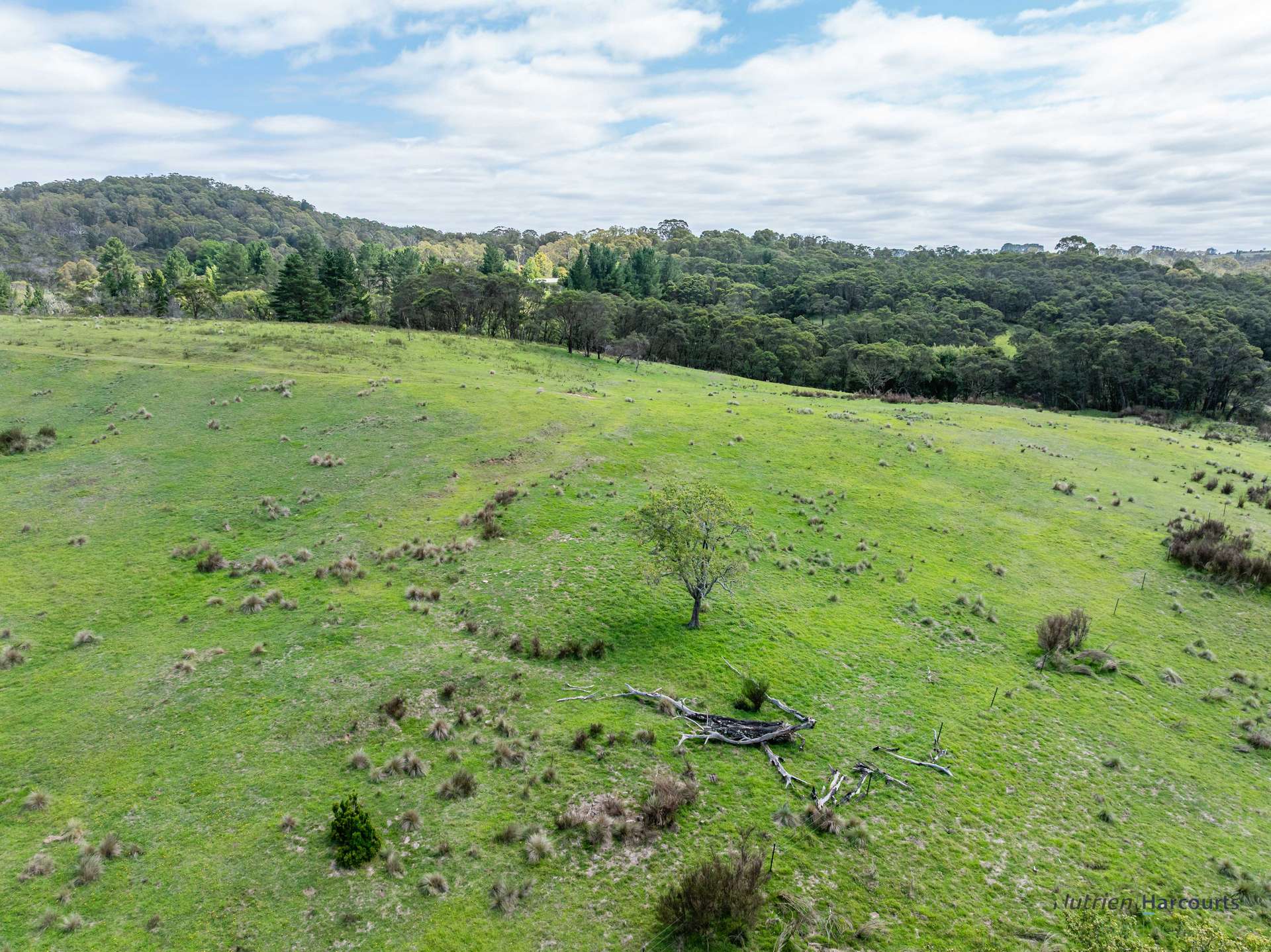 1130 Majors Creek Road, Braidwood For Sale by Farmbuy.com - image 3