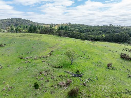 1130 Majors Creek Road, Majors Creek NSW 2622