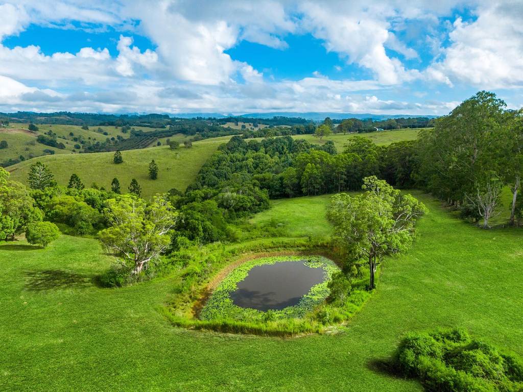 203 Duncan Road, Numulgi NSW 2480