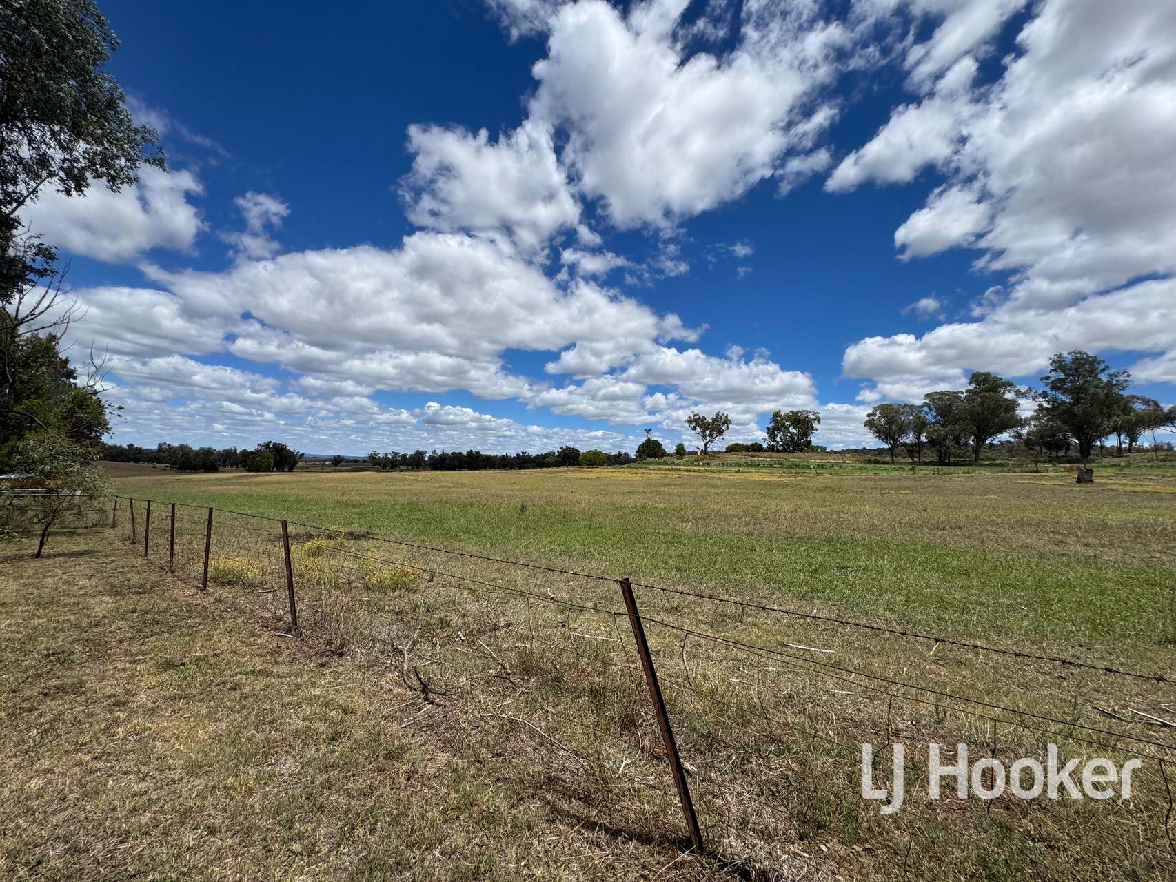 143 Copeton Dam Road, Inverell For Sale by Farmbuy.com - image 23