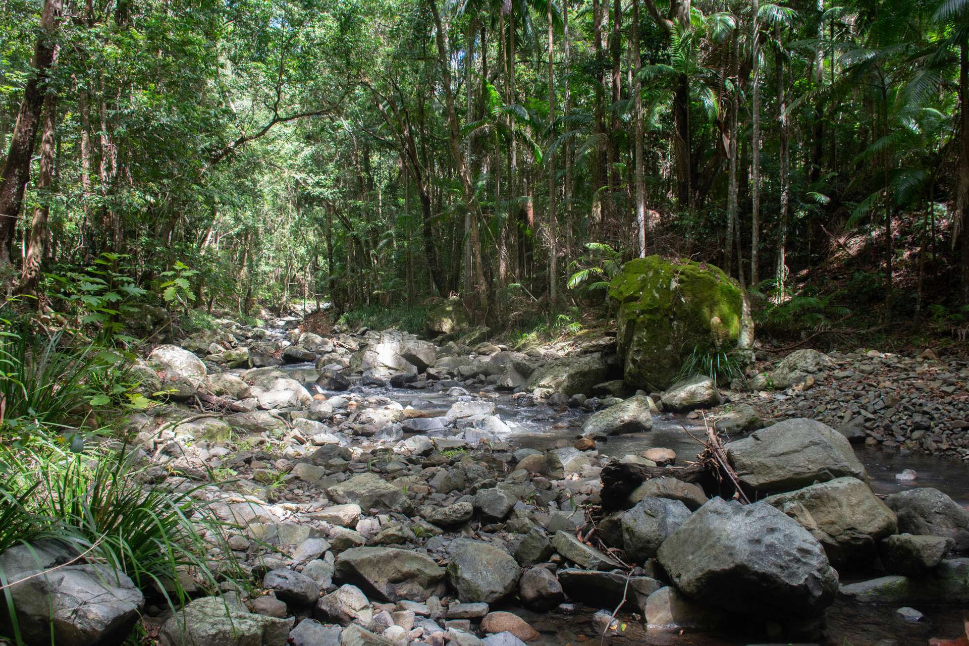 1980 Maleny Stanley River Road, Booroobin For Sale by Farmbuy.com - image 32