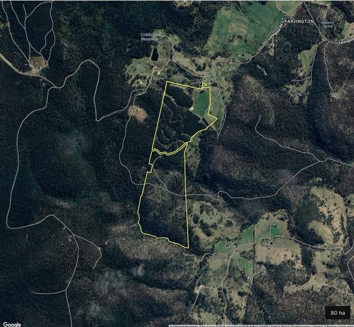 523 Yarlington Road, Colebrook For Sale by Farmbuy.com - image 32