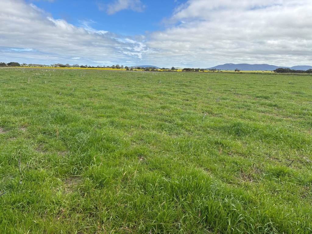 205 Settlers Road, Wangary SA 5607