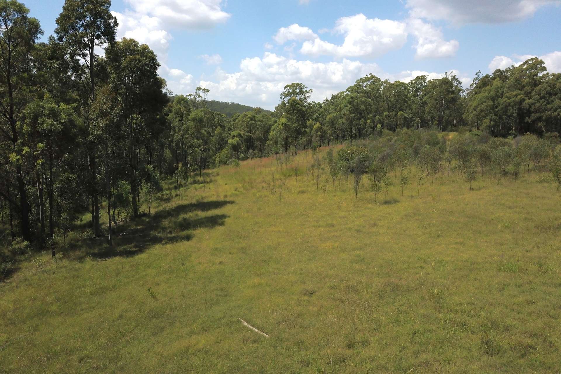 1447 Gresford Road, Vacy For Sale by Farmbuy.com - image 4