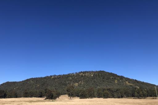 Farm For Sale - NSW - Vacy - 2421 - Mount Breckin – Million Dollar Koala Mountain 