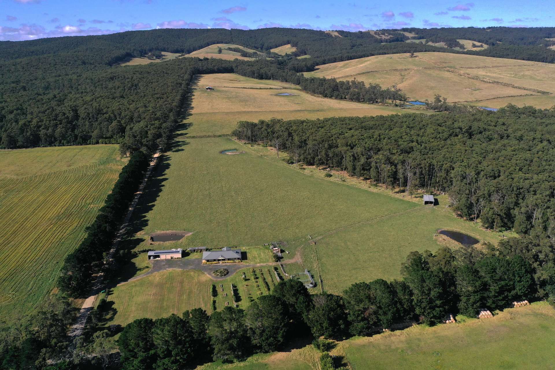 1143 Hedley Range Road, Binginwarri For Sale by Farmbuy.com - image 23