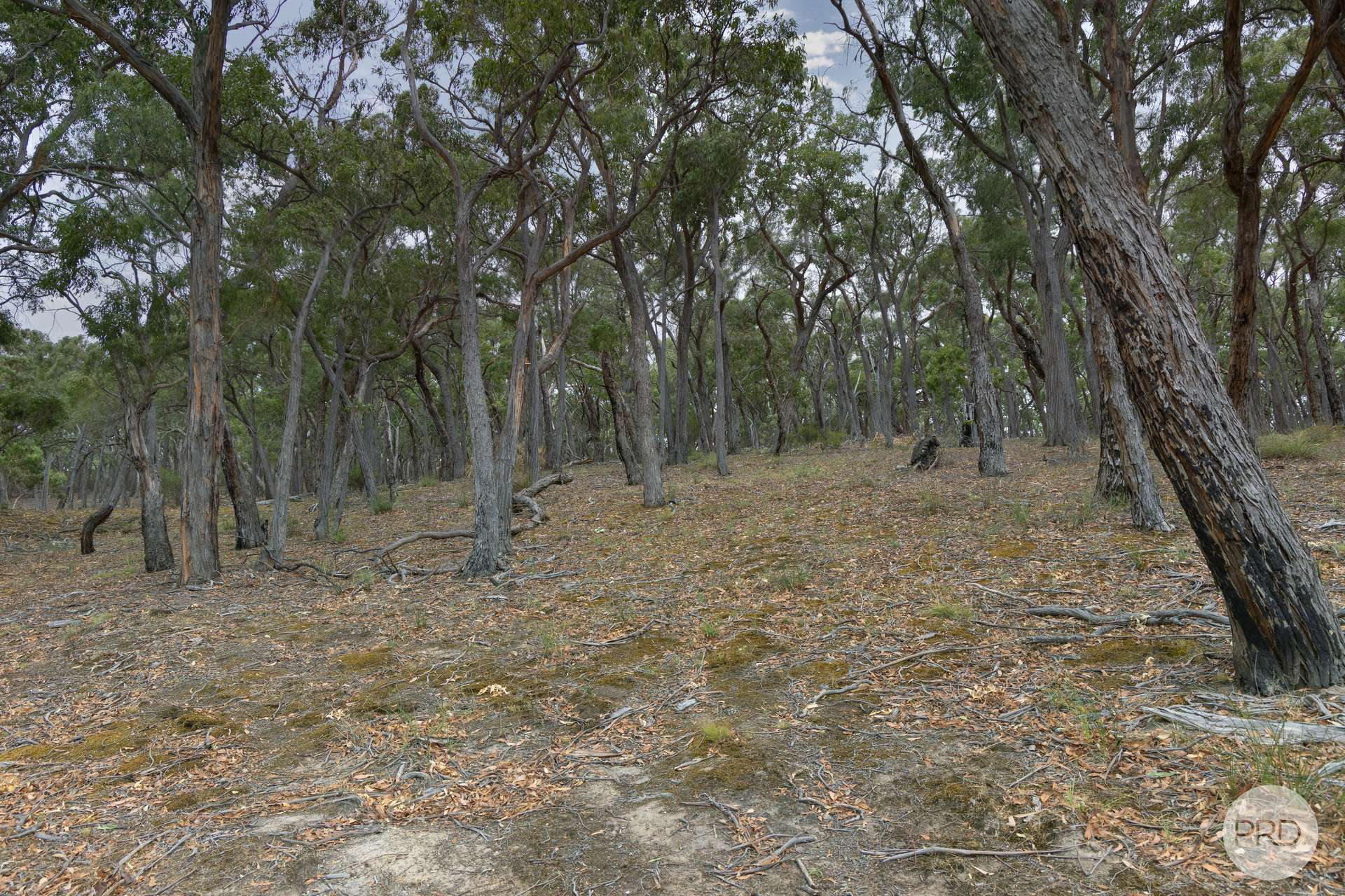 436 Ferrers Road, Dereel For Sale by Farmbuy.com - image 4