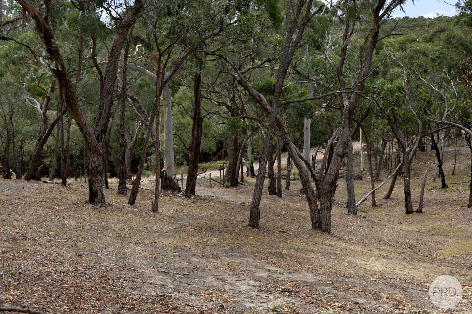 436 Ferrers Road, Dereel For Sale by Farmbuy.com - image 3