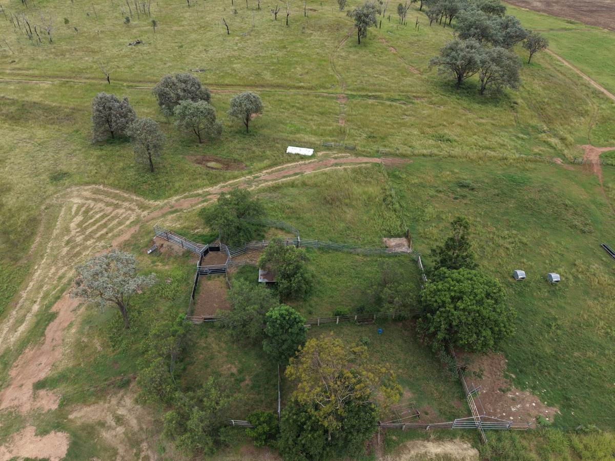 1609 Monal Road, Monto For Sale by Farmbuy.com - image 13